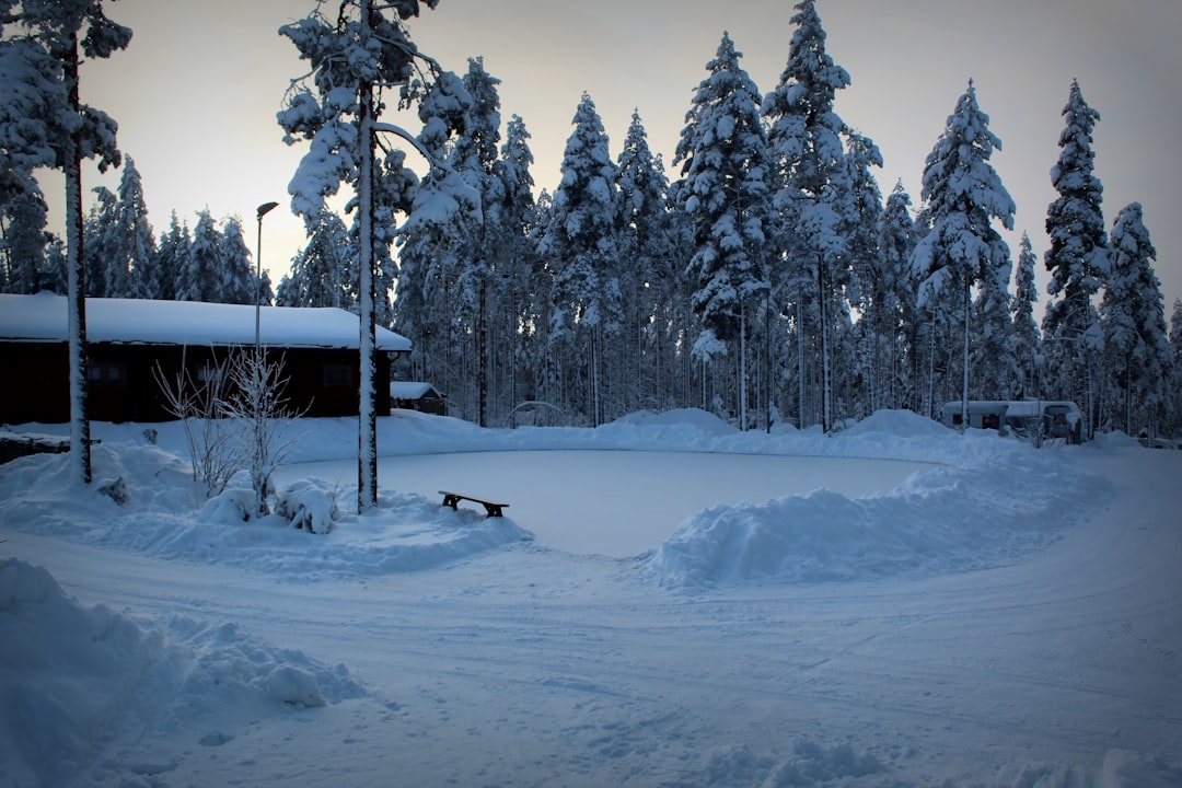 Photo Snowy road